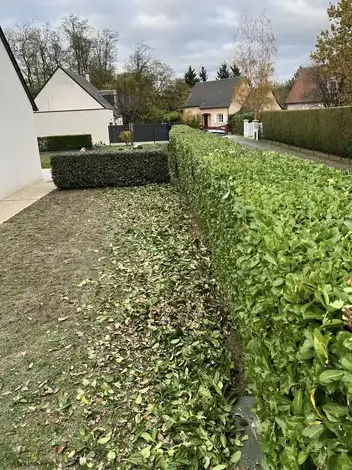 paysagiste Le Controis-en-Sologne-1