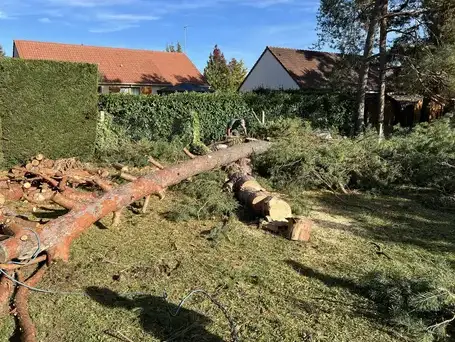 paysagiste à Le Controis-en-Sologne - image 2
