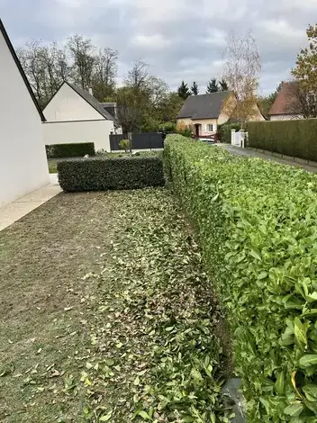 paysagiste Mur-de-Sologne-1
