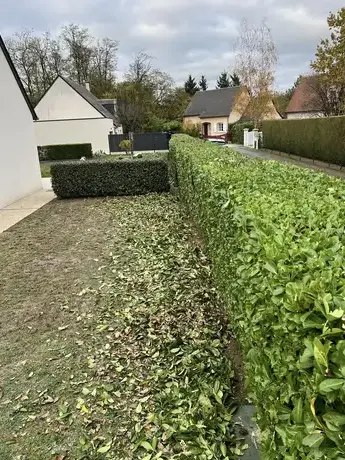 paysagiste Saint-Cyr-sur-Loire-5