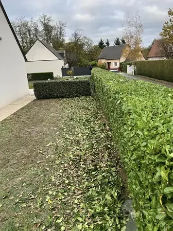 paysagiste à Tour-en-Sologne - image 3