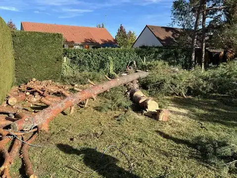 paysagiste Veigné-5