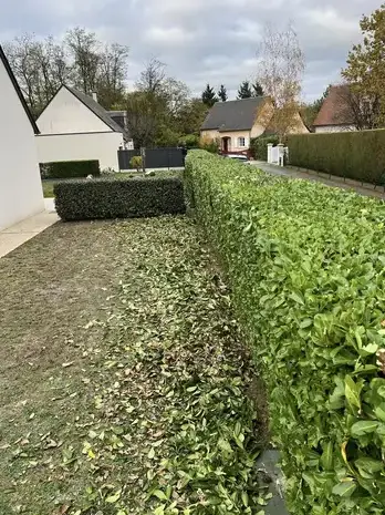pose de clôture Le Controis-en-Sologne-5