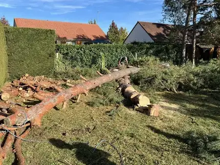 pose de clôture à Mur-de-Sologne - image 3