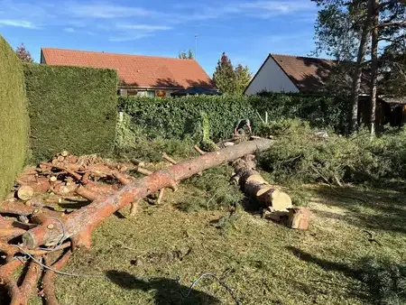 pose de clôture à Tour-en-Sologne - image 3