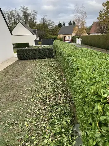 pose de clôture à Tour-en-Sologne - image 4