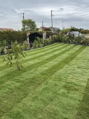 taille de haies La Chaussée-Saint-Victor-1