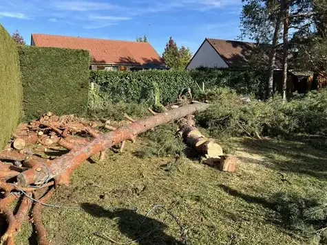 taille de haies Saint-Cyr-sur-Loire-5
